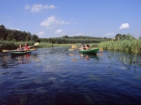 spływy kajakowe